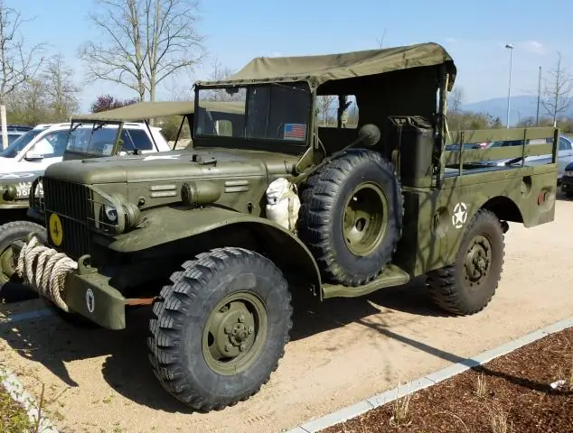 Объявлена олимпийская сборная США по фристайлу