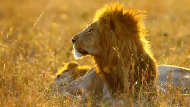 Величайшие моменты в истории тура