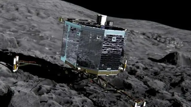 Ученые впервые наблюдают за диким гигантским кальмаром