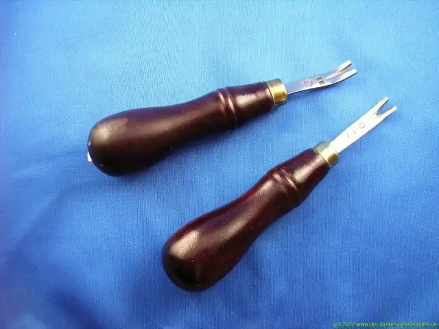 25 октября: новости экспедиции в Южную Георгию