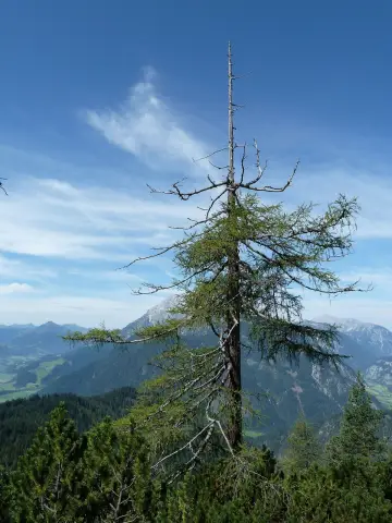 Это будет круто