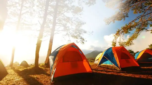 Найдите своего победителя здесь