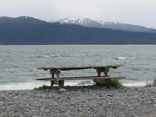 Катание на лыжах по Аляске: все шло отлично, когда