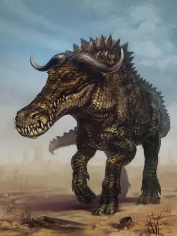 Зеленый корпус Гора