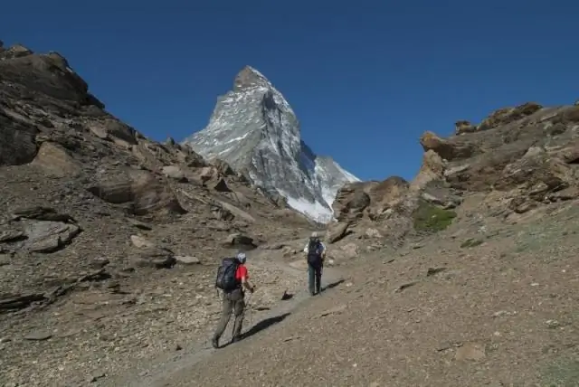 Восстание велосипедных суперкоманд