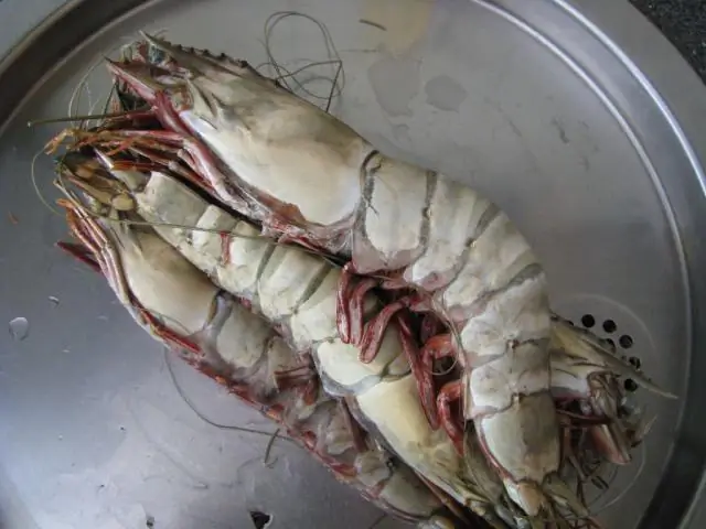 Тед Кинг (не) снова занимается благотворительностью