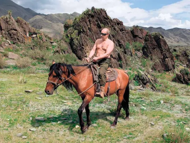 Владимир Путин летит с стерхами, находящимися под угрозой исчезновения