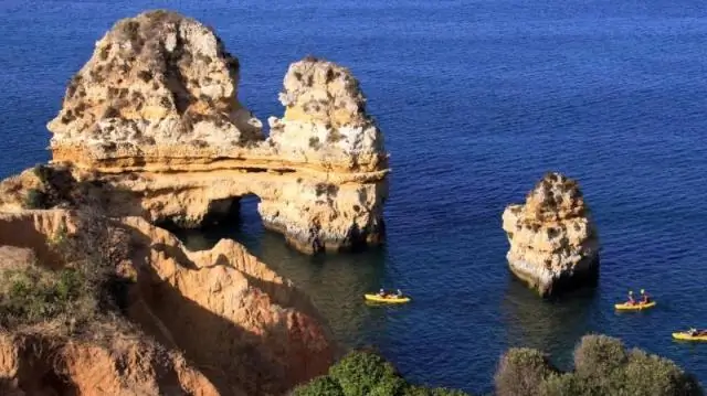 Наблюдение за экспедицией: гребля, педалирование и пешие прогулки по Бразилии