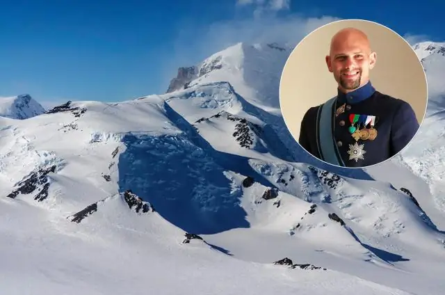 Встреча с суперподом дельфинов