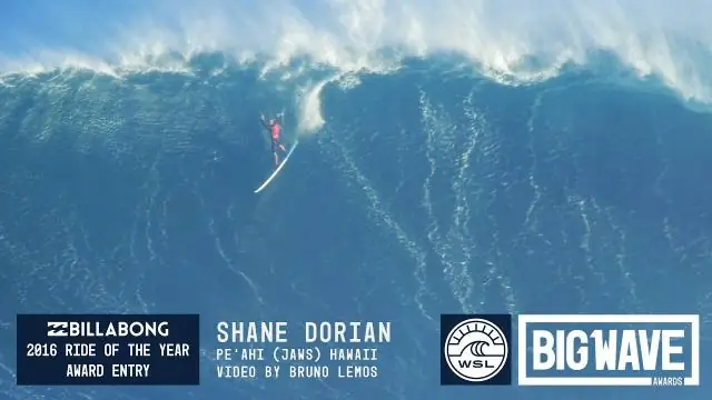 Шейн Дориан плывет в две чудовищные волны в пасти