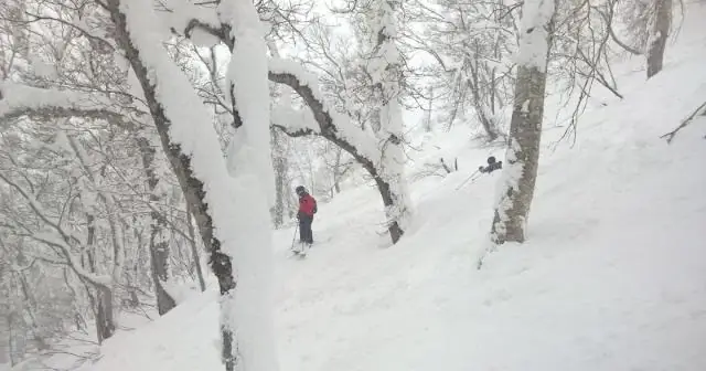 Изюминка катания на лыжах на Хоккайдо ночью