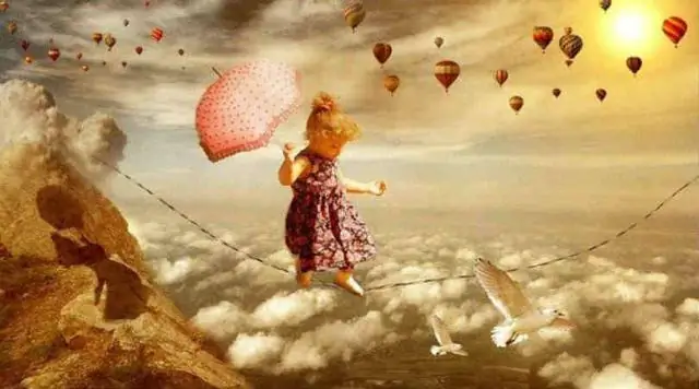 Видео, показывающее жизнь и смерть Сэнди