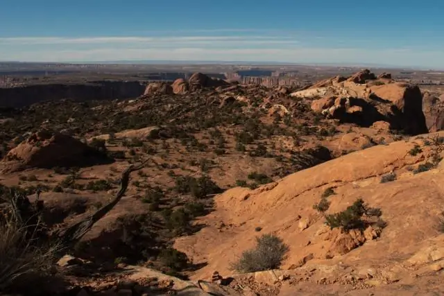 Приключенческое видео недели: поездка по лавинному центру Юты