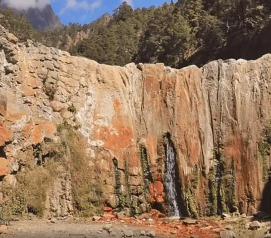 Приключенческое видео недели: Cascada