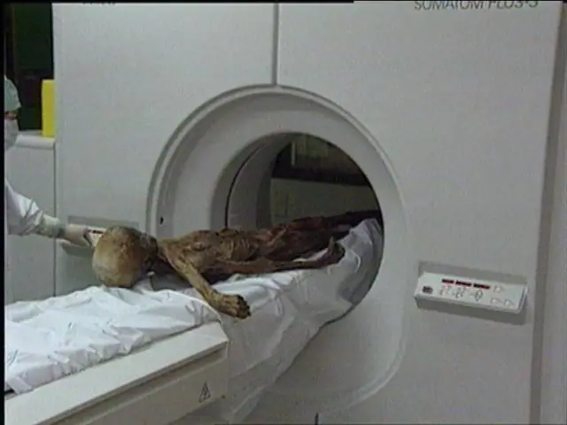 Открытие Mavericks