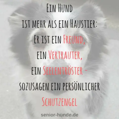 Напоминание о том, что нужно проверить дату истечения срока действия вашего отказа от права на экстремальные воздушные трюки