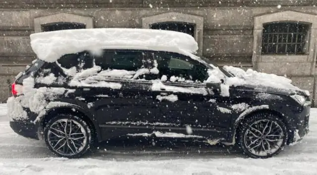 Путешественники: остерегайтесь падающих деревьев