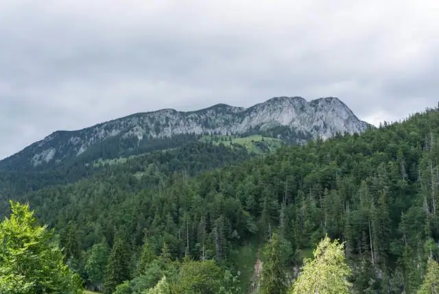 Этот 4-летний горный байкер разрывается - и ваш тоже может