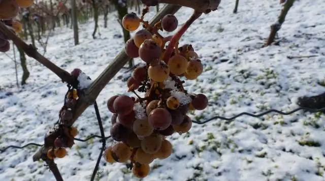 Недостающие ссылки на этой неделе, 17 ноября