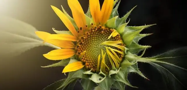 Все, что понравилось нашим редакторам в мае