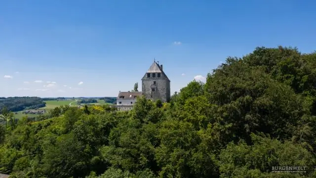 Смотрите: бесплатный просмотр приключенческого фильма "Беги дикого Билла"