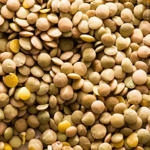 6 фитнес-сайтов, которых стоит потратить