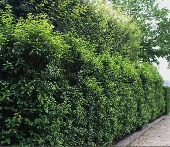 Как выбрать подходящий морской каяк?