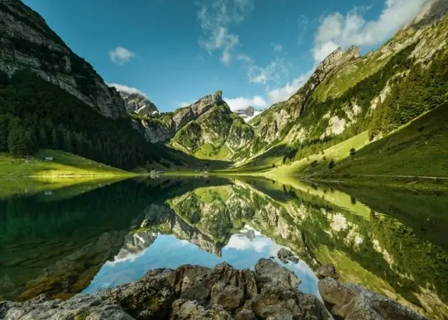 Какой хороший компактный бинокль?