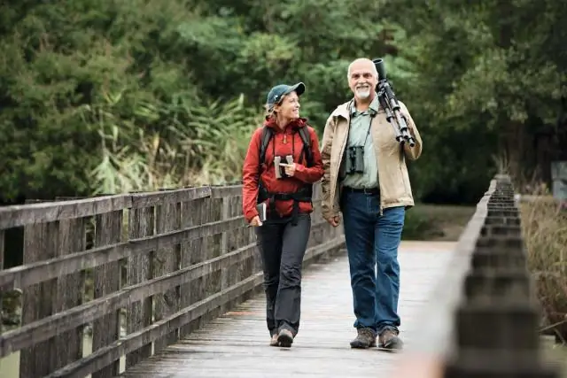 Какой компактный штатив для камеры подойдет для пеших прогулок и походов?