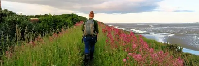 Какой рюкзак достаточно большой для многодневного похода?