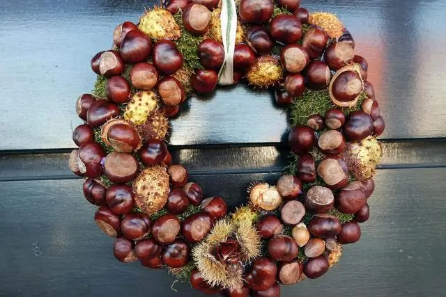 Есть какие-нибудь советы по поводу хорошего пухового спального мешка?