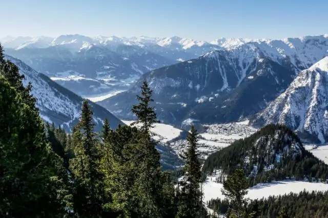 Есть ли лыжи, которые подходят как для скоростного спуска, так и для туристических поездок?