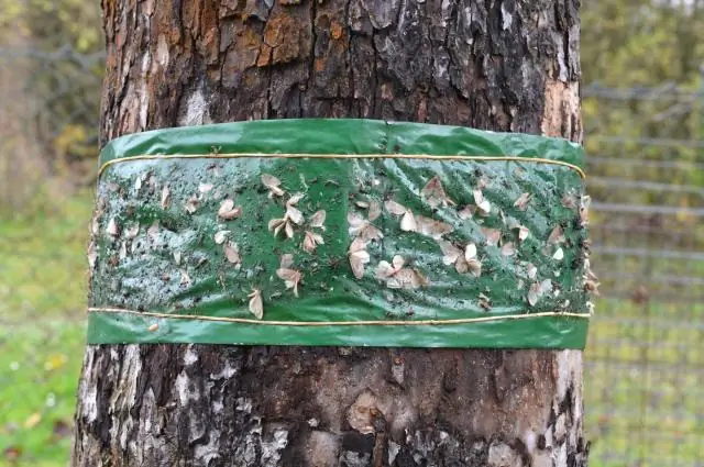 Как не пролить горшок для кемпинга?