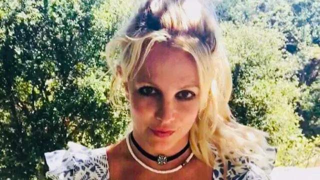 Что случилось со всеми вариантами мягкой оболочки?