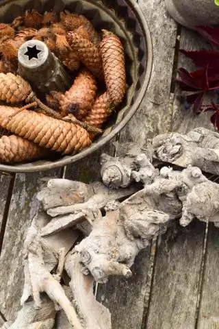 Есть идеи для хороших зимних кроссовок?