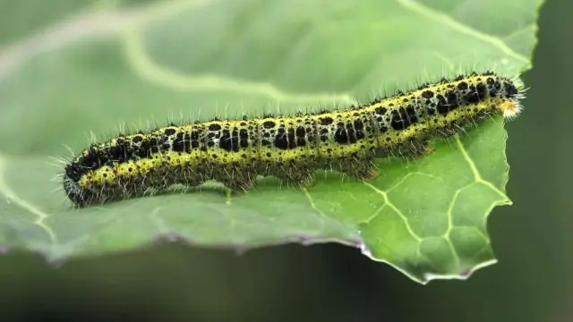 Вы знаете походную печь, которая не слишком шумная?