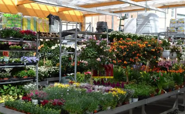 Можете ли вы помочь мне выбрать экспедиционный пакет?