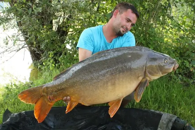 Могу ли я хранить свой спальный мешок в мусорном мешке?