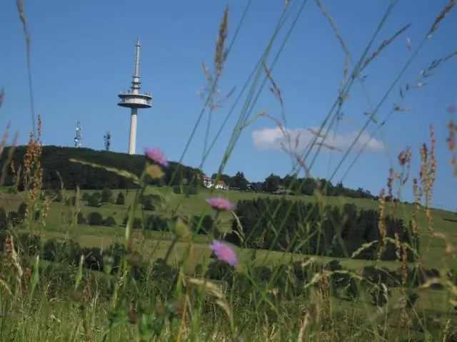 Какие легкие куртки подходят для пеших и велосипедных прогулок?