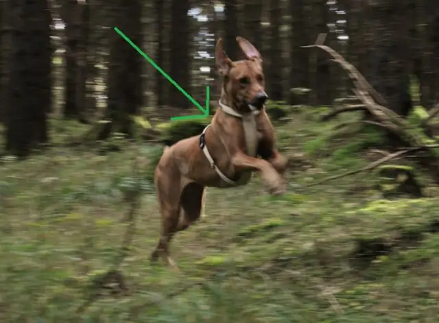 Есть ли спальный мешок по размеру моих широких плеч?