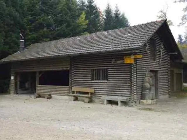 Могу ли я пройти по Аппалачской тропе без печи?