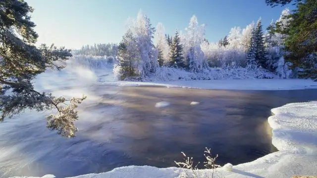 10 лучших блогов января