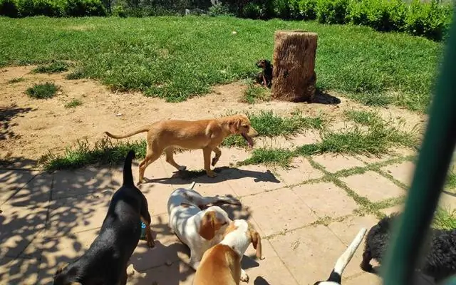 Что бы вы взяли с собой на восхождение на Денали?