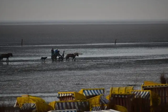 Какое снаряжение мне понадобится для ночной велосипедной прогулки?
