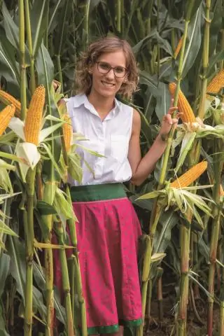 Производительность Кукуруза