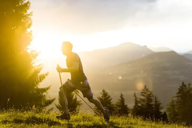 Что нужно знать: трейлраннеры