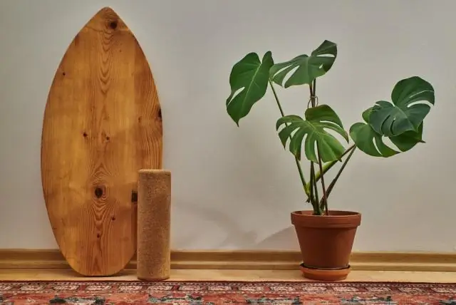 Спортивная терапия: заморозьте травму с помощью холодного ролика триггерной точки