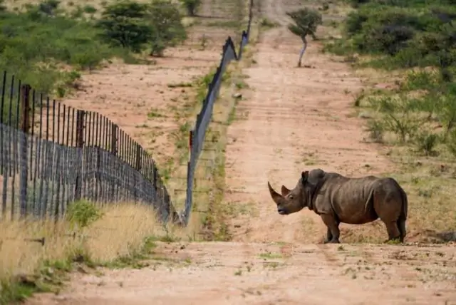 Экипировка охранников Намибии