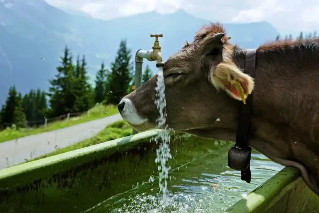 Посвящение мирам велокросса