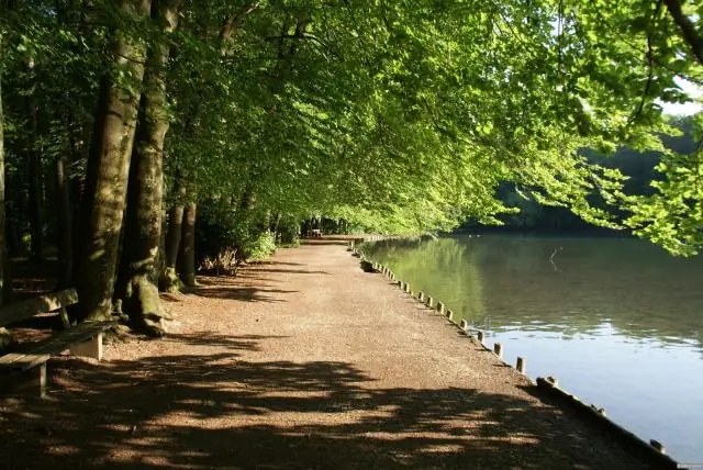 Экспресс: подъем на механизме